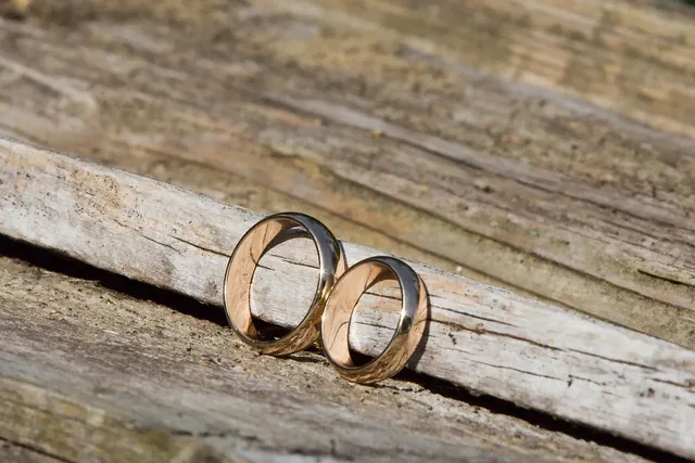 Shenandoah Woods wedding photo by Amy Wu Photography
